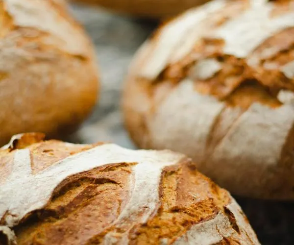 Kai 36 - Zwischen Fels Und Fluss מלון